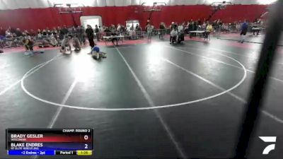 120 lbs Champ. Round 2 - Brady Gesler, Wisconsin vs Blake Endres, RT Elite Wrestling