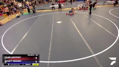 88 lbs Round 2 - Trey Kraemer, MN vs Carlo Difalco, IL