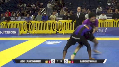 Liam Ashley Morgan vs Alexis F. Alarcon Barreto 2025 Pan IBJJF Jiu-Jitsu No-Gi Championship