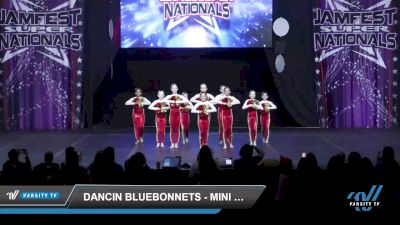 Dancin Bluebonnets - Mini Elite Pom [2022 Mini - Pom - Small Day 2] 2022 JAMfest Dance Super Nationals