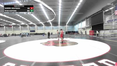141 lbs Round 4 - Gabriel Bouyssou, Cornell vs Ryan Hartung, Binghamton