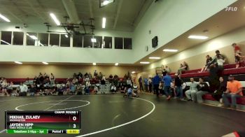 84 lbs 1st Place Match - Mikhail Zulaev, Washington vs Jayden Hipp, Toro World Club