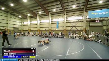 145 lbs Champ Round 1 (16 Team) - Dillon Le, Oregon 2 vs NICO EGBALIC, Nevada GOLD