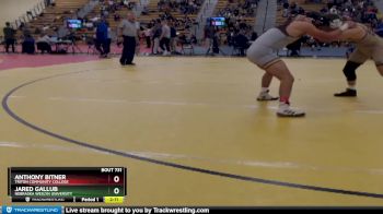 149 lbs Quarterfinal - Jared Gallub, Nebraska Weslyn University vs Anthony Bitner, Triton Community College