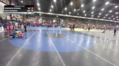 95 lbs Champ. Round 2 - Nate Peterson, Berge Elite Wrestling Academy vs DaMarkus Borman, Ironhawk Wrestling Academy