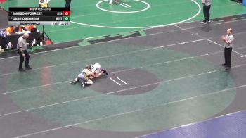 110 lbs Semifinal - Jamison Forrest, Bishop McCort vs Gabe Oberheim, Montgomery
