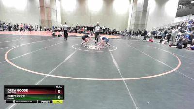 110 lbs Cons. Round 3 - Drew Goode, Oak Park vs Emily Price, Ozark