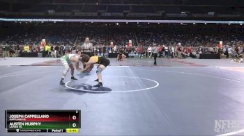 D1-157 lbs Cons. Round 2 - Austen Murphy, Lapeer HS vs Joseph Cappellano, Hartland HS