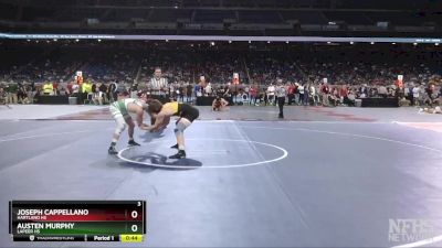 D1-157 lbs Cons. Round 2 - Austen Murphy, Lapeer HS vs Joseph Cappellano, Hartland HS