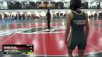 101 lbs Cons. Round 3 - Trinity Valentin, Northern Michigan University vs Dyanne Pelaez, New Jersey City University