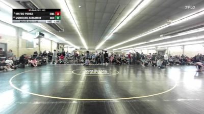152 lbs Round Of 16 - Mateo Perez, Towanda vs Donovan Armanini, Bushkill