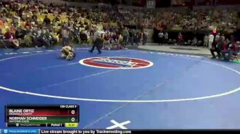 126 Class 3 Cons. Round 2 - Blaine Ortiz, McDonald County vs Norman Schneider, Raytown South