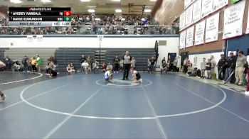 87 lbs Quarterfinal - Saige Edmunson, Middleton Wrestling Club vs Averey Randall, Parma Wrestling