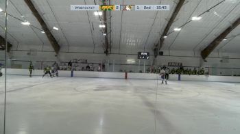 Replay: Home - 2025 CHI Cougars vs CHI Crush | Mar 7 @ 2 PM