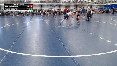 Elite 125 lbs Champ. Round 2 - Raio Hamaguchi, Wartburg vs Travis Moelter, Wisconsin-Eau Claire