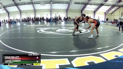 125 lbs Cons. Round 5 - Colin Mellott, Ohio Northern Univerity vs Caiden Harbert, West Liberty