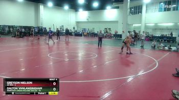 138 lbs Round 2 (6 Team) - Greyson Nielson, SD Red vs Dalton Vanlangingham, Nebraska Green Machine (Dev B)