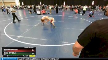 92 lbs Champ. Round 1 - Cole Caniglia, NE vs Bryson Busler, WI