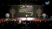 The Dance Vault - Mini Elite Large Pom [2025 Mini - Pom - Large Day 2] 2025 GROOVE Dance Grand Nationals