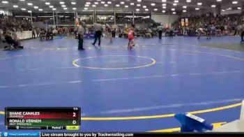 113 lbs Quarterfinal - Shane Canales, Grassfield vs Ronald Vernem, West Springfield