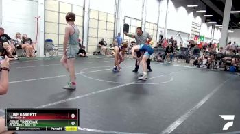 140 lbs Round 6 (8 Team) - Cole Trzeciak, PA Alliance Blue vs Luke Garrett, Team 302