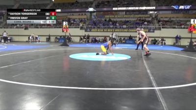 125 lbs Cons. Round 3 - Dayson Torgerson, Colorado Mesa vs Trevon Gray, Pitt-Johnstown