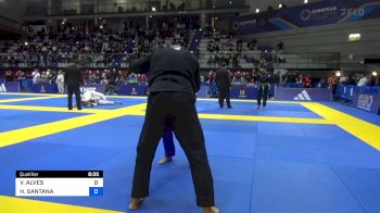 VINICIUS ALVES vs HARRYSO SANTANA 2024 European Jiu-Jitsu IBJJF Championship