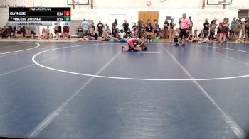 69-75 lbs Quarterfinal - Vincent Jimenez, Crystal Lake Wizards vs Ely Rose, Palmyra High School