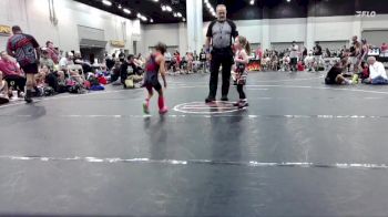 45 lbs Round 8 (10 Team) - Davi Williams, Backyard Brawlers Pink vs Huntlie Wall, GA United