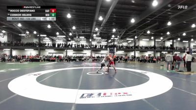 132 lbs Round Of 32 - Rocco Destefano, East Islip vs Connor Helwig, Niskayuna
