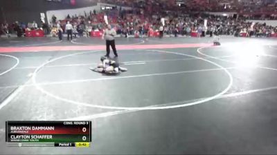 69 lbs Cons. Round 3 - Braxton Dammann, Auburndale vs Clayton Schaffer, Winneconne Youth