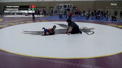 45B Semifinal - Vicente Ibarra, St. James/Madelia vs Hudson Hood, Watertown-Mayer