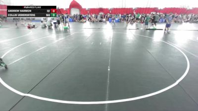 193-197 lbs Round 1 - Andrew Harmon, Franklin Central Flashes vs Collin Uebersetzig, Waunakee