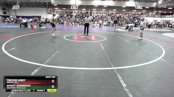 125 lbs Cons. Round 3 - Wyatt Engwicht, Dickinson State (N.D.) vs Trevor Hisey, Indiana Tech