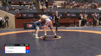 87 lbs Champ. Round 1 - Tyler Hannah, Combat W.C. School Of Wrestling vs Patrick Curran, NMU-National Training Center