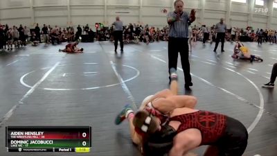 110 lbs Round 4 (10 Team) - Dominic Jacobucci, Lake WC vs Aiden Hensley, The Wrestling Mill