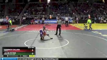 II-102 lbs Cons. Round 5 - Jacob McVige, Honeoye Falls-Lima vs Dominick Callara, Medina