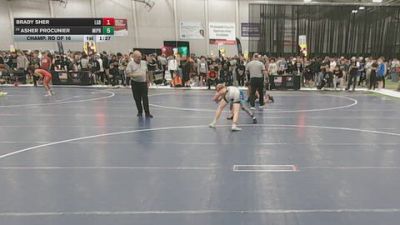 113 lbs Champ. Rd Of 16 - Brady Sher, Lake Gibson Braves vs Asher Procunier, Michigan Premier
