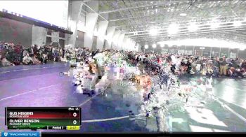 126 lbs 3rd Place Match - Gus Higgins, Mountain View vs Oliver Benson, Pleasant Grove