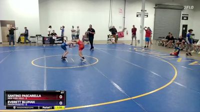 87 lbs Round 2 (8 Team) - Santino Pascarella, New York Gold vs Everett Bluman, Massachusetts