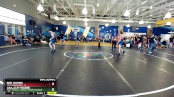 126 lbs Semis & Wb (16 Team) - Ben Norris, Team Barracuda vs Giullian Mestre, Team Osceola Gateway Wrestling Club