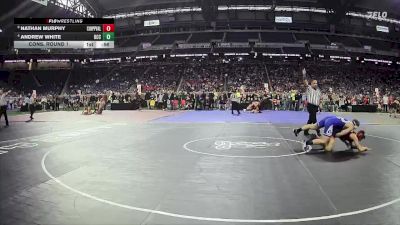 D1-165 lbs Cons. Round 1 - Nathan Murphy, Chippewa Valley HS vs Andrew White, Detroit Catholic Central HS