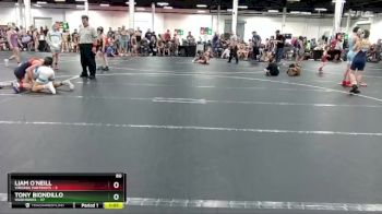 80 lbs Round 5 (8 Team) - Tony Biondillo, Warhawks vs Liam O`Neill, Virginia Partriots