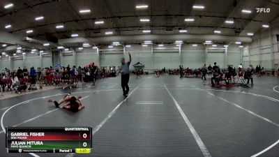 100 lbs Quarterfinal - Gabriel Fisher, Dog Pound vs Julian Mitura, MAYO QUANCHI