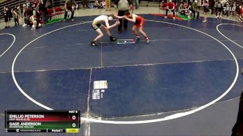 99 lbs Cons. Semi - Emillio Peterson, East Idaho Elite vs Gage Anderson, Enterprise Wolves