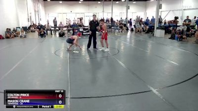 114 lbs Placement Matches (16 Team) - Colton Price, Delaware vs Mason Crane, Tennessee