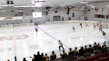 Replay: Home - 2024 Minots U18 AAA vs Hounds U18 AAA | Feb 24 @ 12 PM