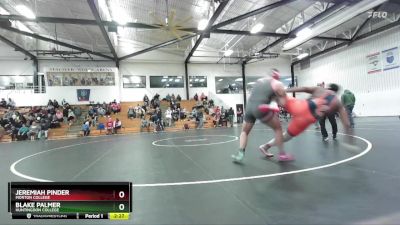 285 lbs Cons. Round 4 - Jeremiah Pinder, Morton College vs Blake Palmer, Huntingdon College