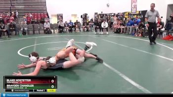 139 lbs Round 2 (8 Team) - Blake Hostetter, Team Revival vs Brayden Chandler, Minions Black (GA)