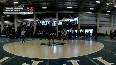 125 lbs Quarterfinal - Anthony Aniciete, Tiffin vs Orlando Hernandez, Emory & Henry